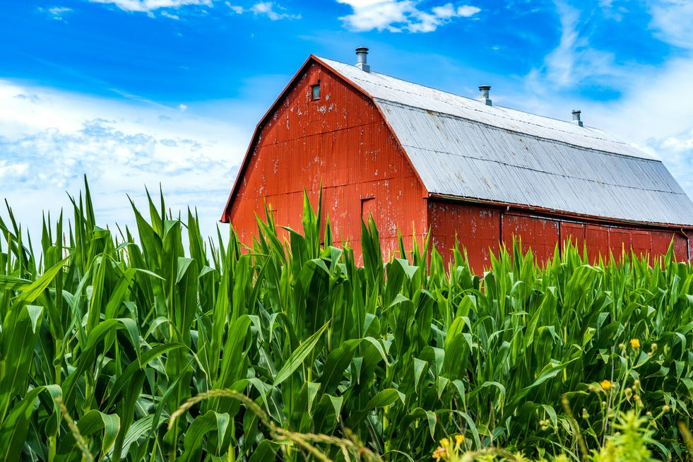 a red barn in field