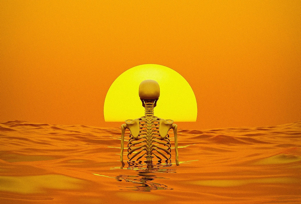 a-skeleton-floating-in-the-ocean-at-sunset