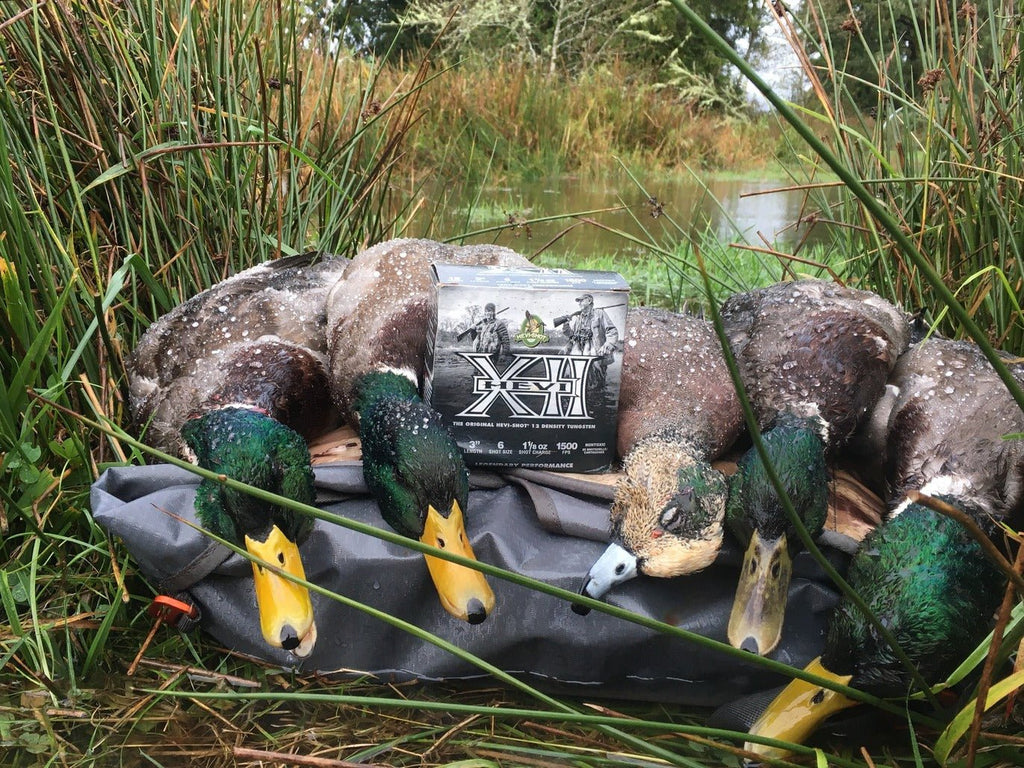 Killer Late-season Duck Tactics - TideWe