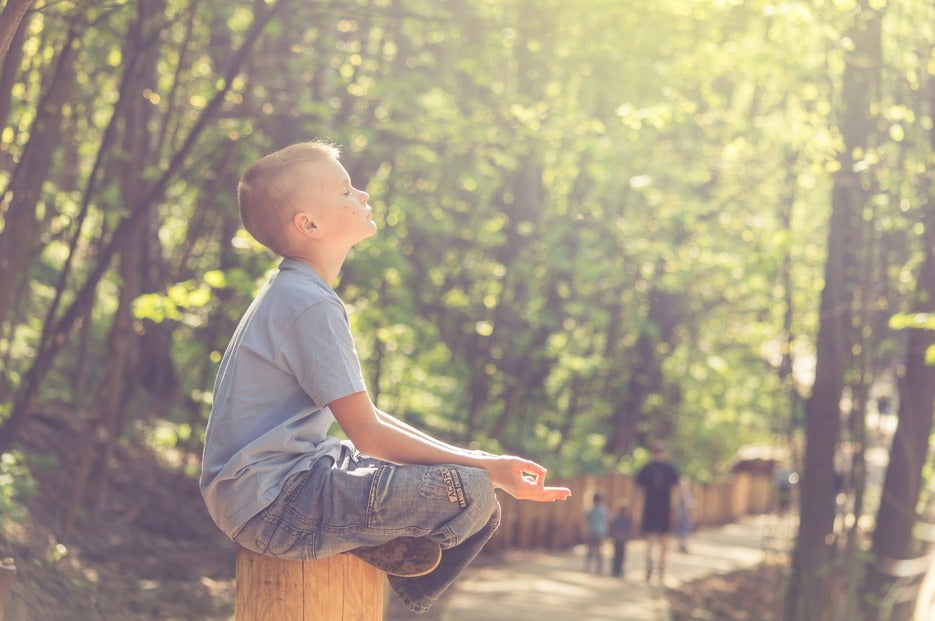 kid in blue-t-shirt and brown pants sitting on brown wooden seat during daytime