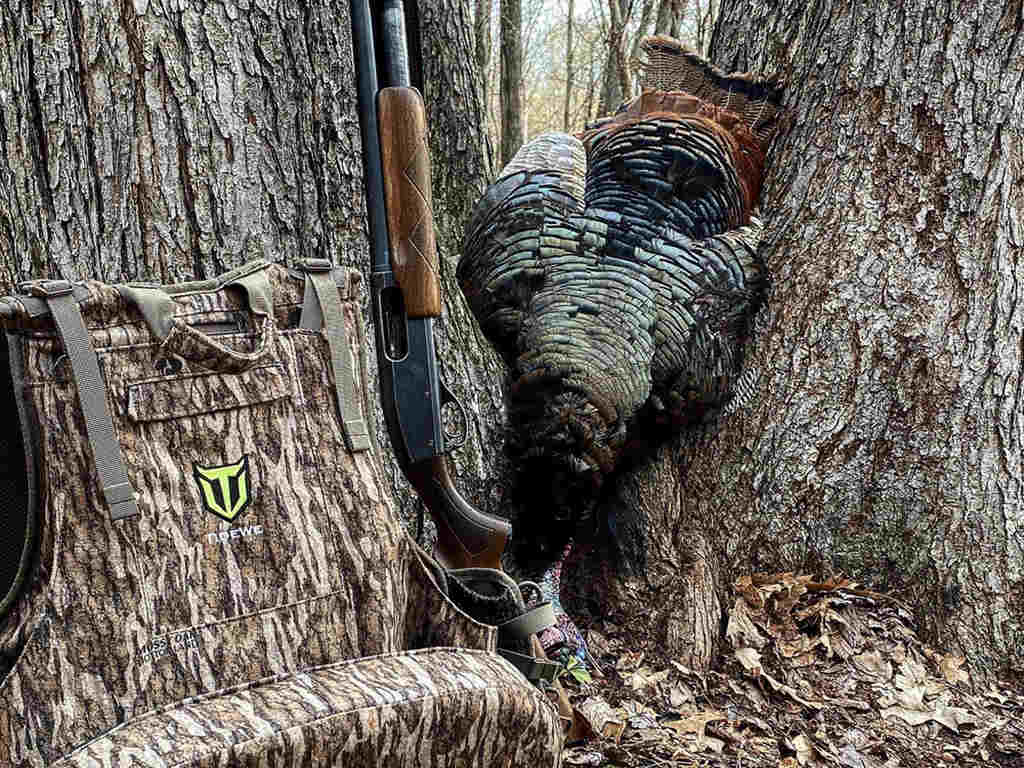 TideWe Turkey Vest with Seat: The Ultimate Solution for Spring Turkey Hunting - TideWe