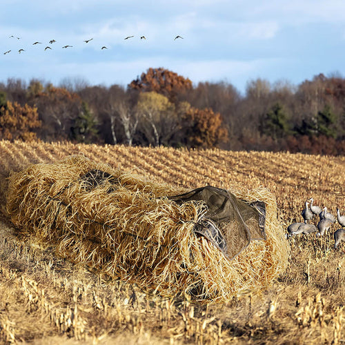 goose hunting