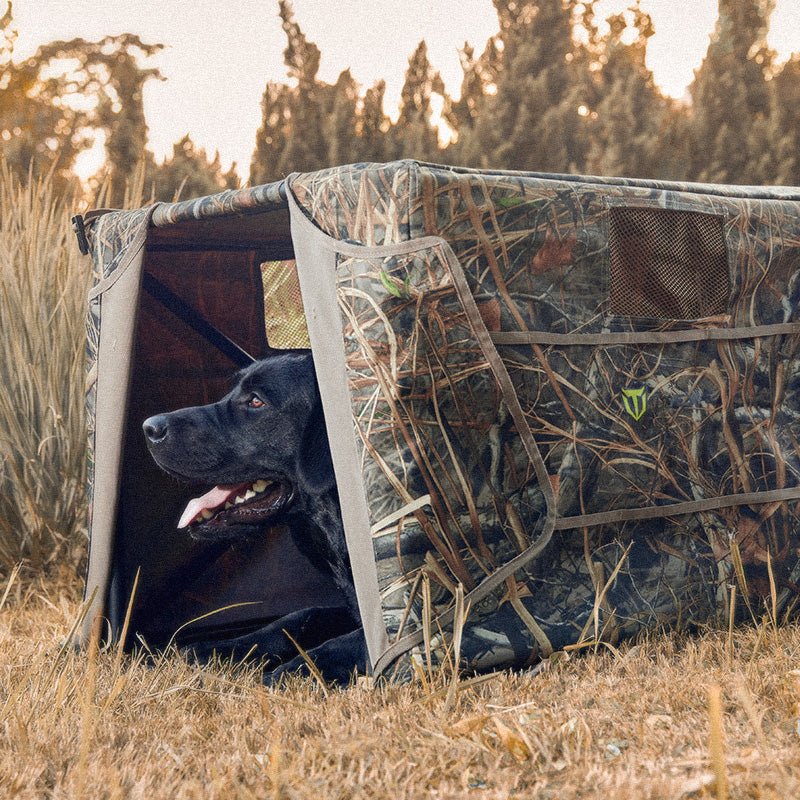 V,Dog Blind,Dog Blind & Stand