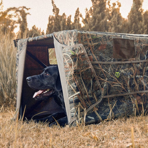 V,Dog Blind,Dog Blind & Stand